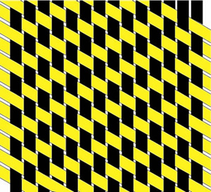 ̼��ά��ǲ�