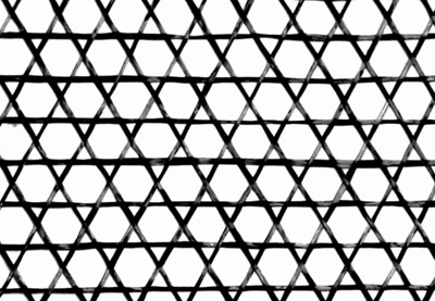 ƽ������֯��